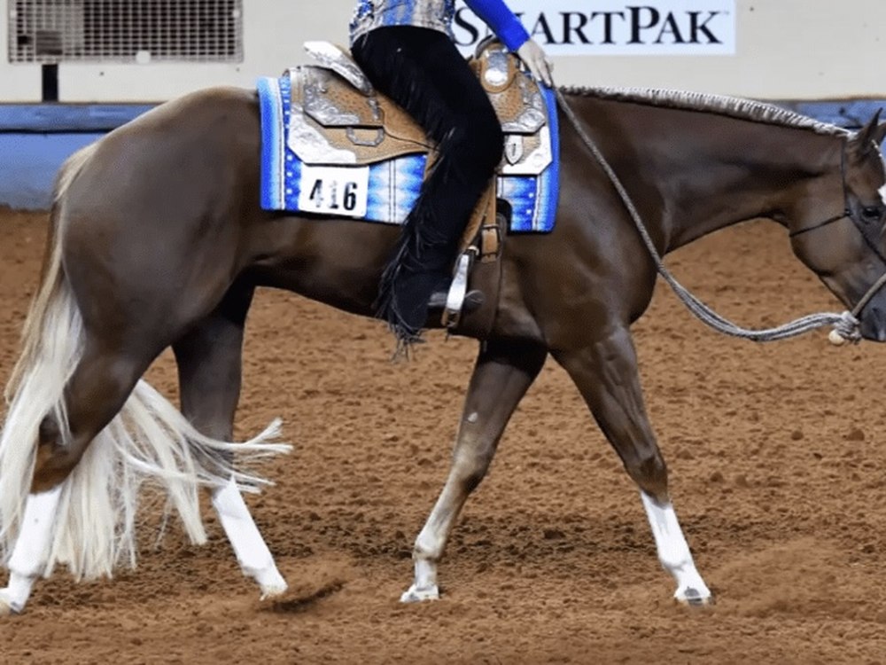Western Pleasure